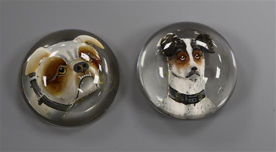 Two domed circular Essex crystals, each decorated with the head of a dog. 29mm.